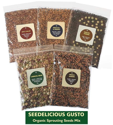 Organic Sprouting Seeds Mix - SEEDELICIOUS Gusto (5 Assorted Sample Packs) 250g | Healthy ...