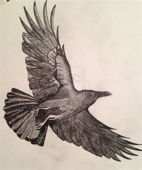 crows flying drawing - Google Search | Fly drawing, Crow flying, Crow