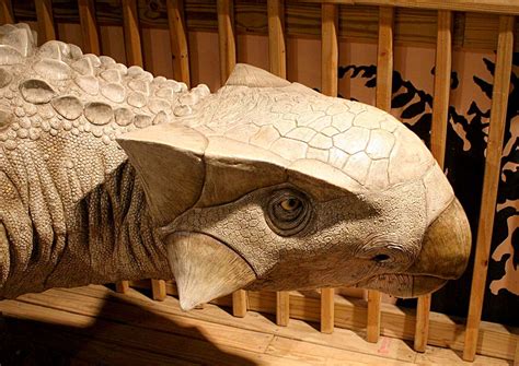 Louisville Fossils and Beyond: Ankylosaurus Dinosaur Replica