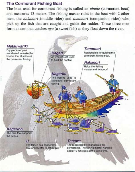 Cormorant Fishing JAPAN – artphototravel