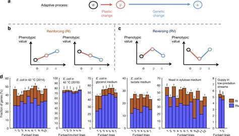 Evolutionary adaptations to new environments generally reverse plastic phenotypic changes ...