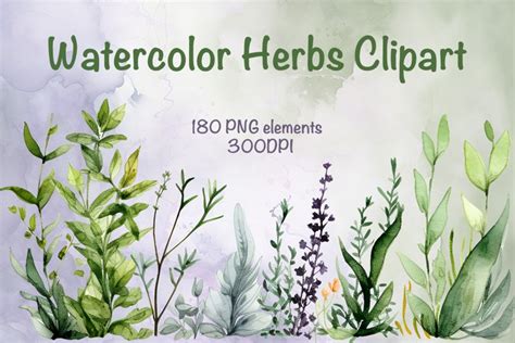 Watercolor Herbs Clipart (2672479)