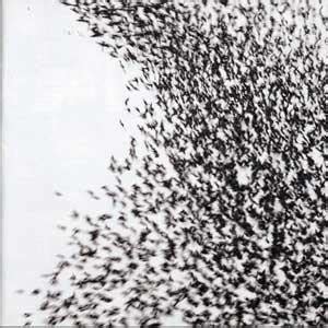 Wilco – Sky Blue Sky (2007, CD) - Discogs