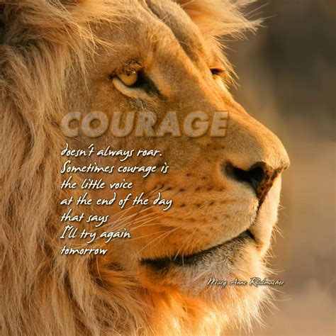 Lion Quotes Wallpapers - Top Free Lion Quotes Backgrounds - WallpaperAccess