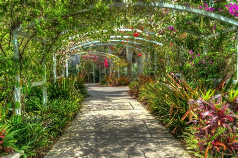 Explore the Naples Botanical Garden During Your Vacation!