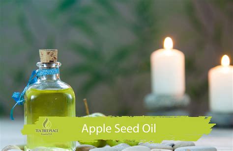 Apple Seed Oil : Health Benefits and Uses for Skin and Hair (2022)