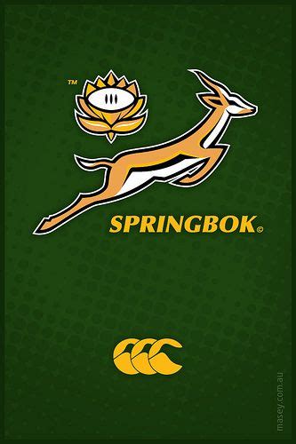 Springboks iPhone Wallpaper | Springbok rugby, Rugby logo, Rugby wallpaper