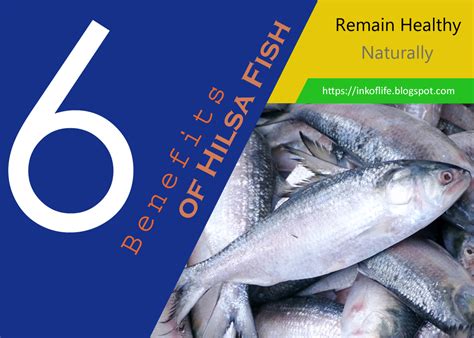 6 Benefits of Hilsa Fish | Ink of Life