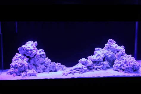 Reef Tank Aquascapes: 15 Stunning Design Tips – The Beginners Reef