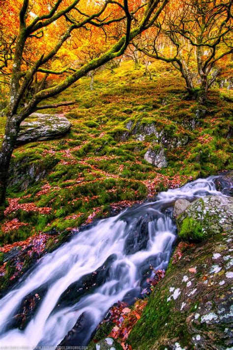 Elan Valley, Rhayader, Wales | Waterfall, Scenery, Autumn waterfalls