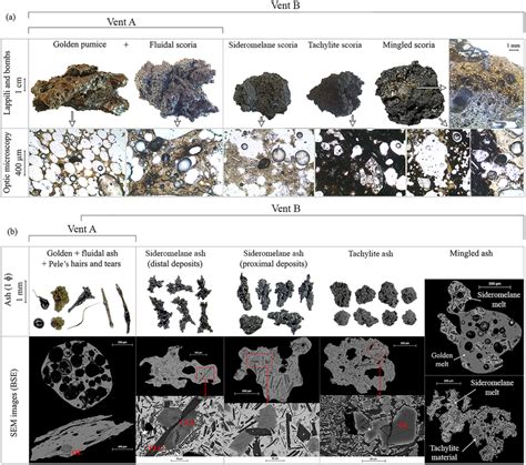 (a) Bomb‐sized tephra componentry of the eruption, with corresponding ...