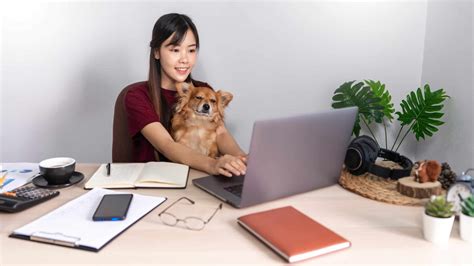 Working from home with your dog: Set boundaries, rules for your pet