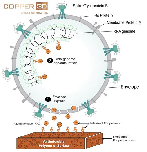 Mechanism-of-action