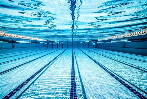 Swimming Lane Line Markings: What Do They Mean? - Competitor Swim