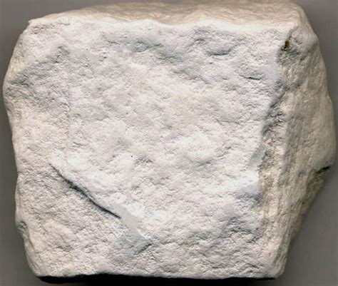 Diatomite (diatomaceous earth) (6.8 cm across) from the Miocene-aged ...