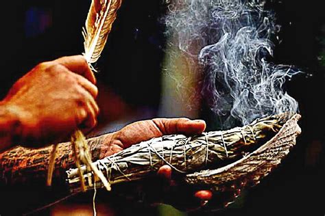 The Science Of Smudging - How Sage Actually Cleans Bacteria In The Air - CrystalWind.ca | Touch ...