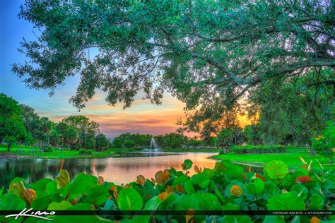 Pembroke Pines Florida Campus Lake