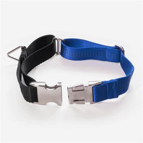 Martingale Collar with a heavy duty metal buckle. - Made in the USA