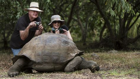 Galapagos Animals