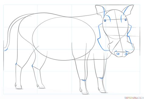 How to draw a warthog | Step by step Drawing tutorials | Drawing tutorial, Step by step drawing ...