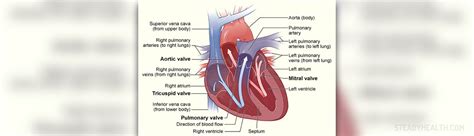 Poor circulation causes | General center | SteadyHealth.com