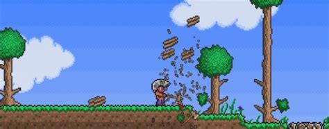 Terraria beginner's guide | PC Gamer