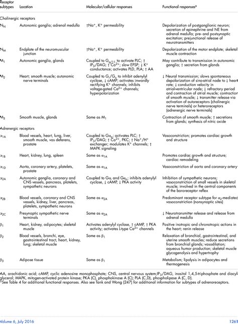 Autonomic Nervous System Receptors Chart