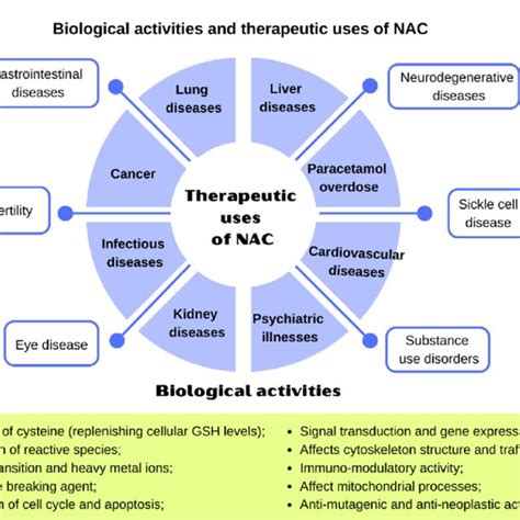 Mechanism of molecular action of N-acetylcysteine. Adapted from Aldini ...