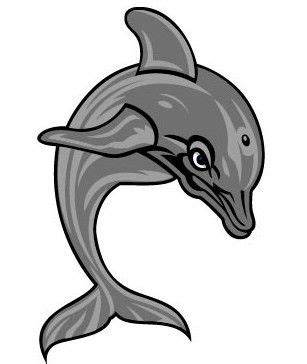 CMSV Mascot Vinny the Dolphin! | College of Mount Saint Vincent, Riverdale, Bronx, New York City ...