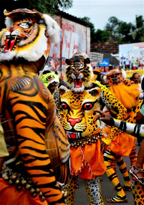 ZOOMININDIA: Tiger Dance of India