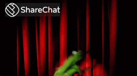 Kermit The Frog Screaming GIFs | Tenor