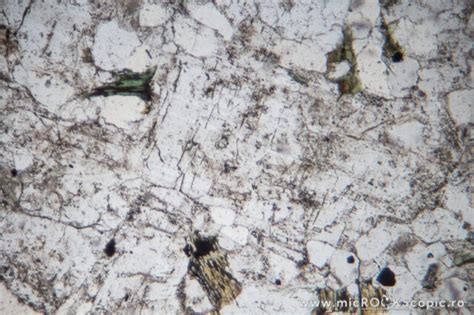 Plagioclase thin section - Tectosilicates - MicROCKScopic