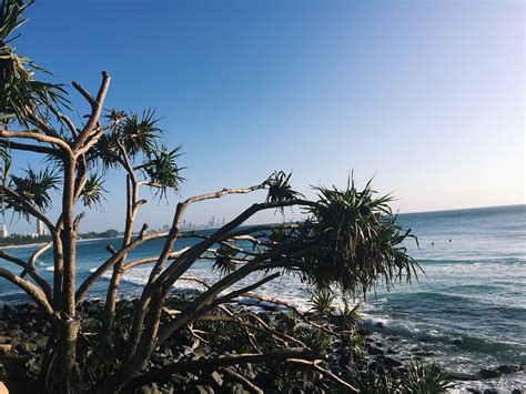 Burleigh Heads, Capture, Beach, Water, Plants, Life, Outdoor, Gripe ...