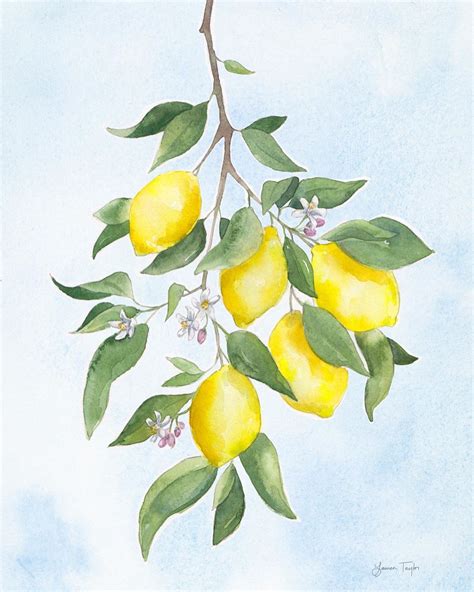 Limited Edition Clementine | Lemon watercolor, Watercolor print, Lemon art