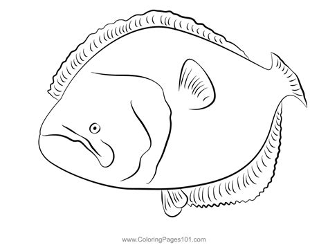 Flounder 1 Coloring Page for Kids - Free Flounders Printable Coloring Pages Online for Kids ...