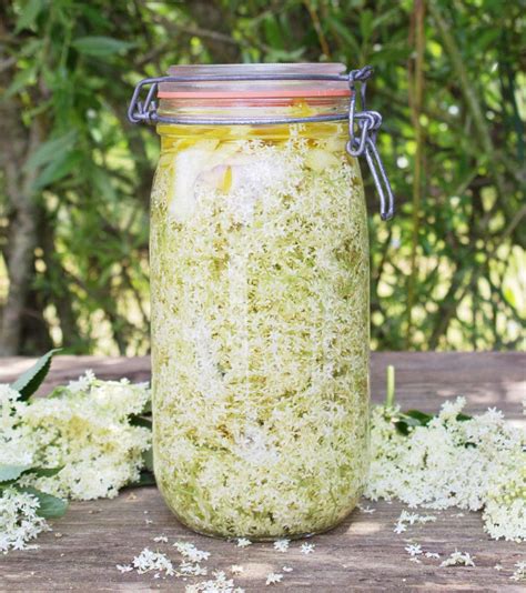 Elderflower Liqueur Recipe - Tales From The Kitchen Shed