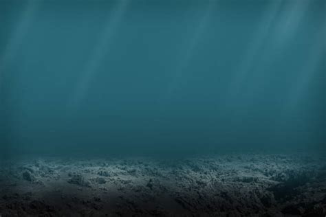 1,500+ Dark Ocean Floor Stock Photos, Pictures & Royalty-Free Images - iStock