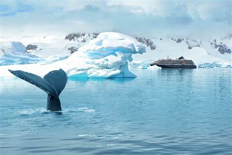 Atlas Ocean Voyages opens 2023-24 Antarctica expedition season for sale