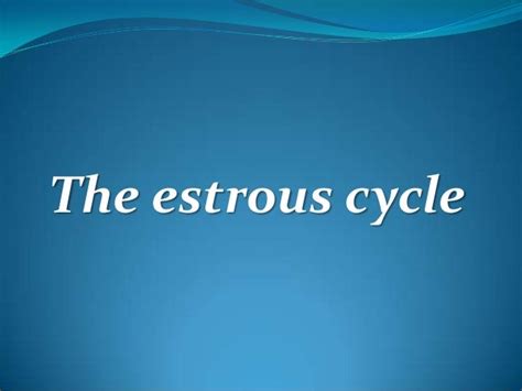 The estrous cycle