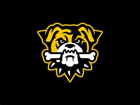 Bulldog Mascot Logo by Matthew Doyle on Dribbble