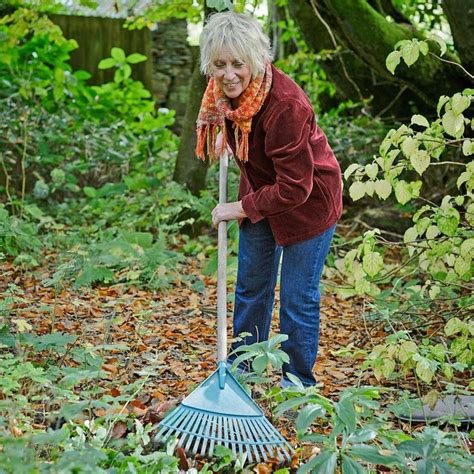 Carol Klein delves into the secret life of soil and reveals how the magic below ground helps ...