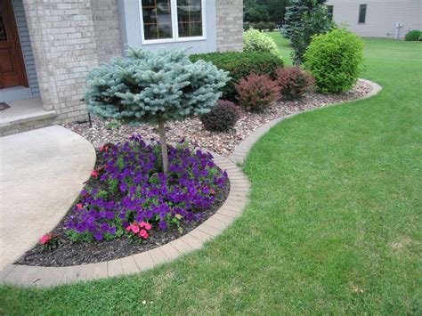 Image result for landscaping shrubs | Bushes for front yard, Front yard landscaping, Front yard