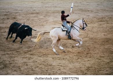 Corrida Matador Horse Fighting Typical Spanish Stock Photo 1089772796 ...