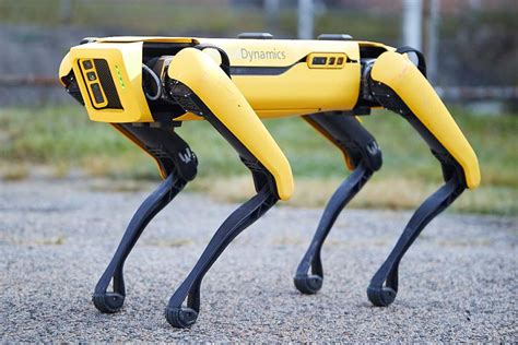 Boston dynamics robot dog - retailnet