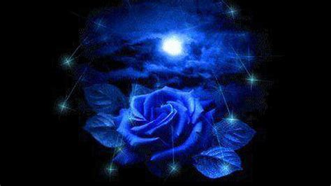 Blue Rose Wallpapers - Top Free Blue Rose Backgrounds - WallpaperAccess