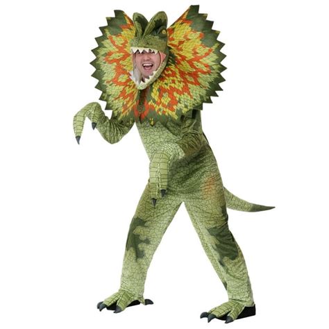 Iguana Costume | ubicaciondepersonas.cdmx.gob.mx