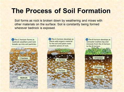 Soil Formation (Pedogenesis)- Factors, Process/Steps,, 45% OFF