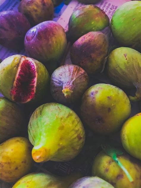 Fig Tree Harvesting: How And When To Pick Figs