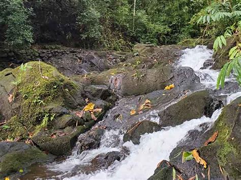 Best 4 Activities to Do at Lulumahu Falls Honolulu