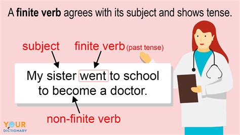 What Is a Finite Verb? Meaning and Examples | YourDictionary